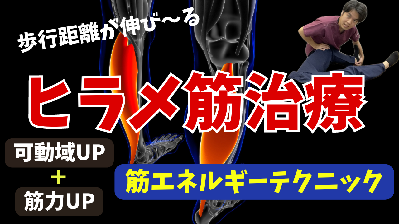 【超簡単】歩行距離を伸ばすヒラメ筋に対してのエネルギーテクニック！！